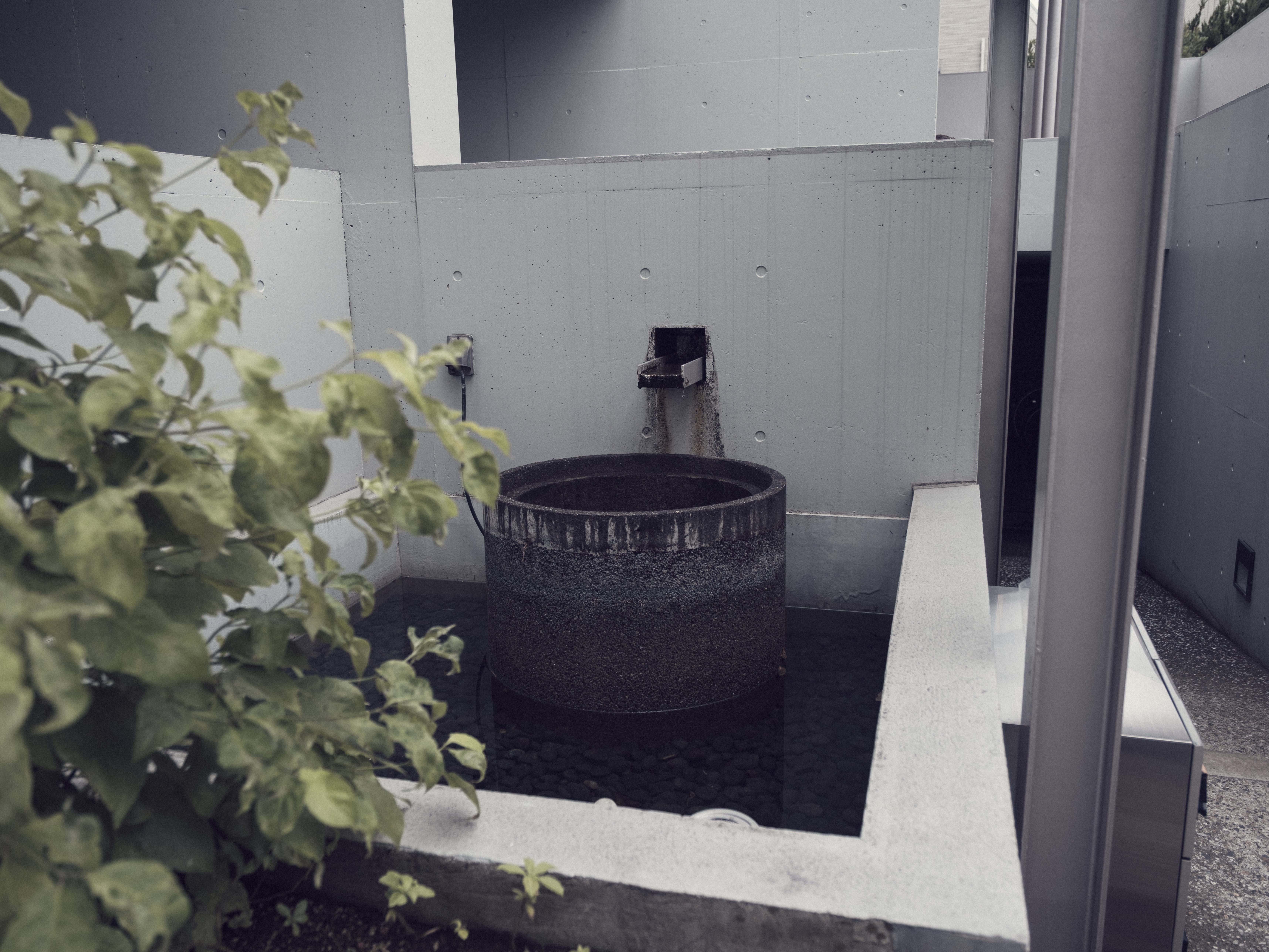 A dark Tokyo water basin framed by leaves, showing reflected light and restrained wet-surface color