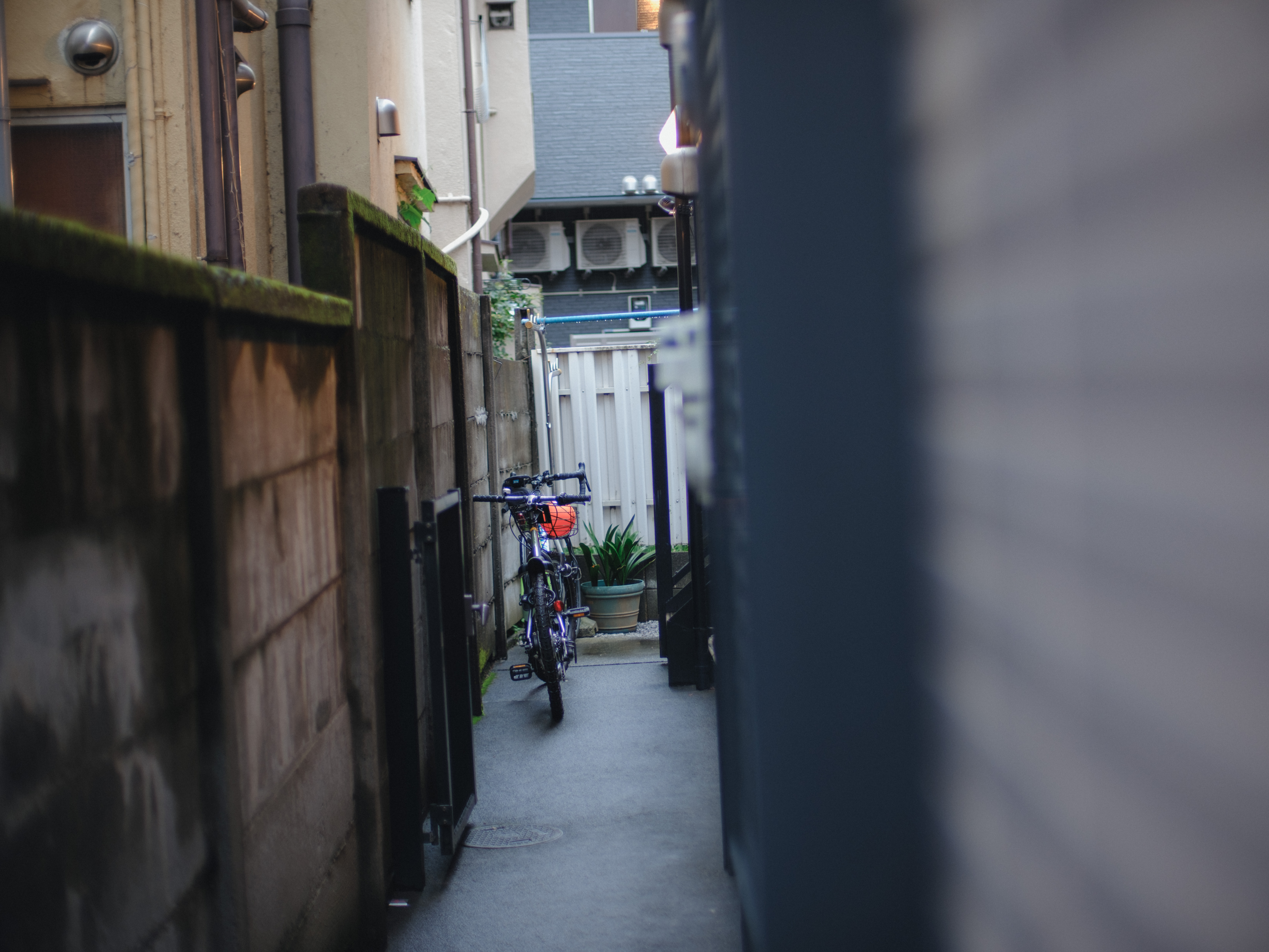 A narrow lived-in Tokyo passage with a mossed wooden fence, bicycle, plants, concrete, and modern building equipment